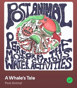 A Whale’s Tale