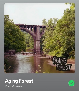 Aging Forest
