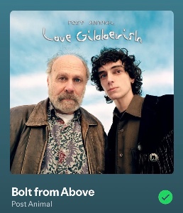 Bolt from Above