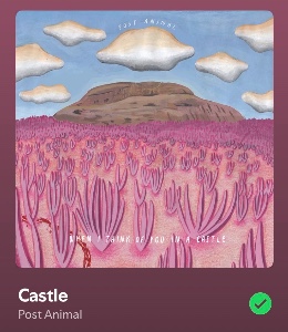 Castle