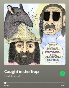 Caught in a Trap