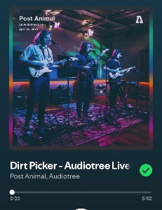 Dirtpicker - Audiotree Live Version