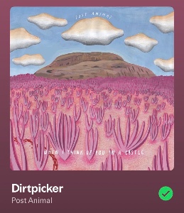 Dirtpicker