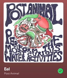 Eel