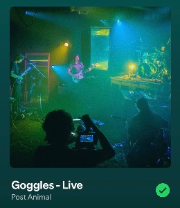 Goggles - Live