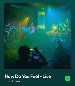 How do You Feel - Live