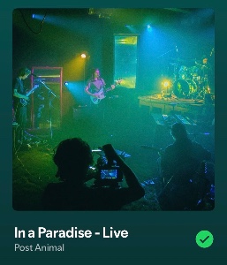 In a Paradise - Live