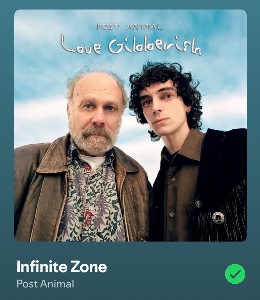 Infinite Zone