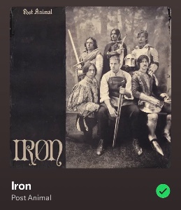 Iron