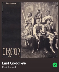 Last Goodbye