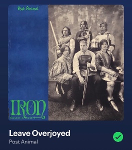 Leave Overjoyed
