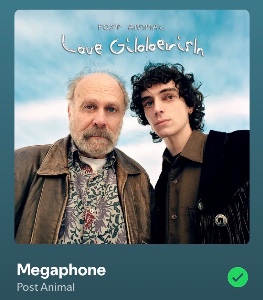 Megaphone