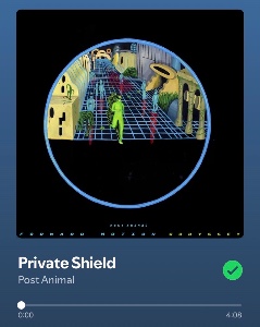 Private Shield