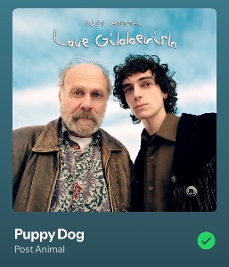 Puppy Dog