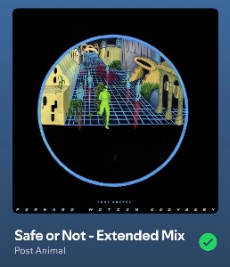 Safe or Not - Extended Mix