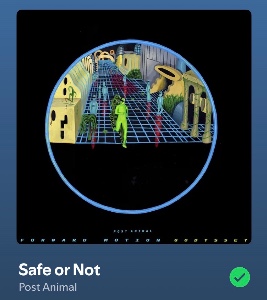 Safe or Not