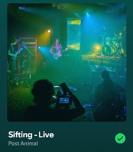 Sifting - Live