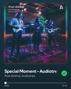 Special Moment - Audiotree Live Version