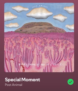 Special Moment