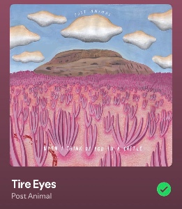 Tire Eyes