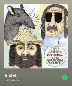 Violet