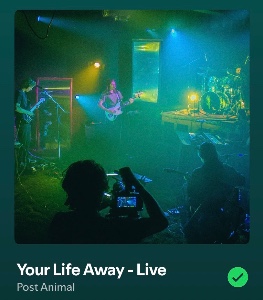 Your Life Away - Live