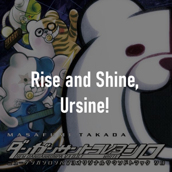 Rise and Shine, Ursine!