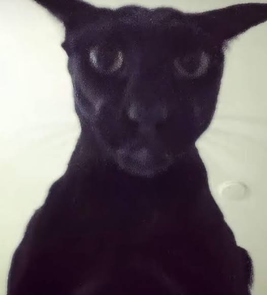 Evil Larry