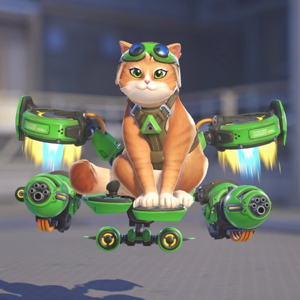 Cat Grass