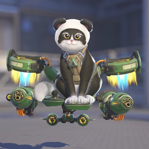 Panda