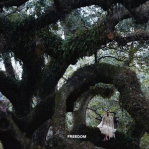 freedom (feat. kendrick lamar)