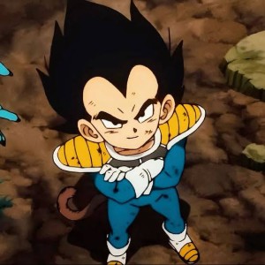 Prince Vegeta (Super)