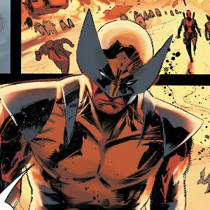Wolverine