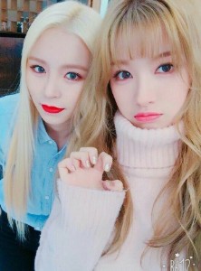 Heekie (Seunghee × Elkie)