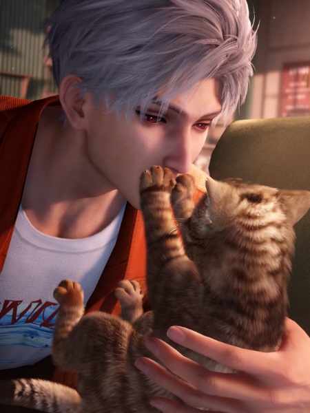 Kitten Included