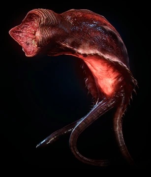 Leech