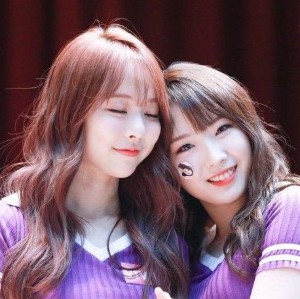 Viseul