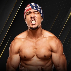 AR FOX