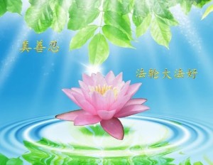 Tranquil Serenity