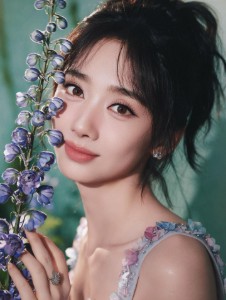 Wang Ying Lu