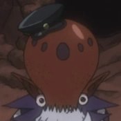 Octopus
