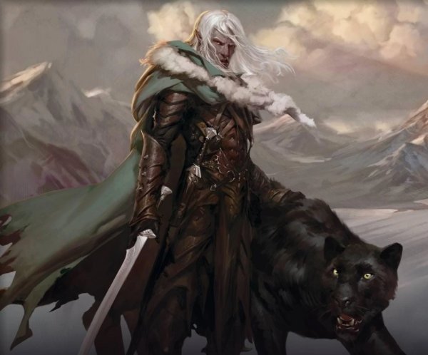 Drizzt Do'Urden