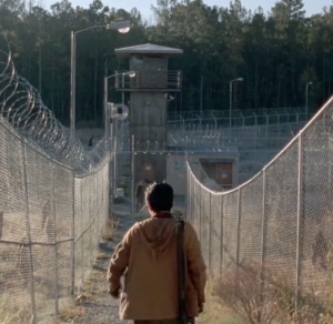 the walking dead