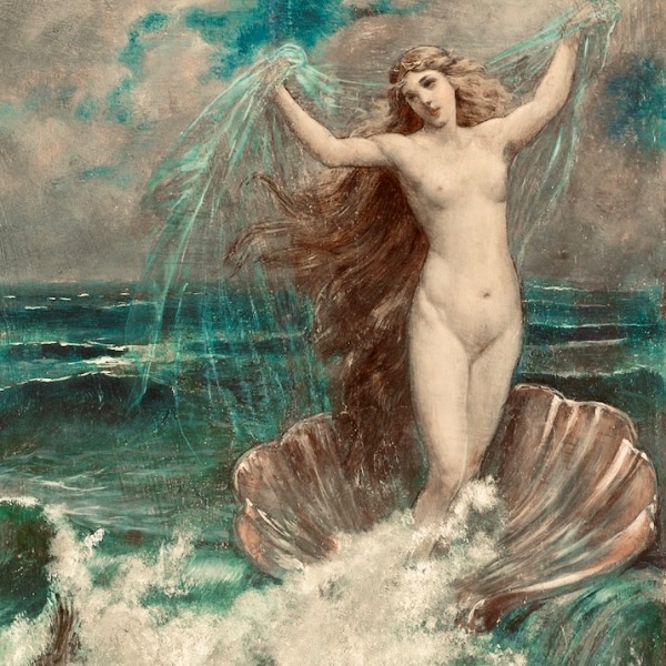 Aphrodite / Venus