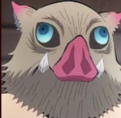 roy