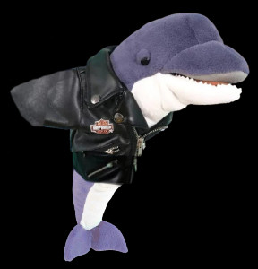 Loan Dolphin