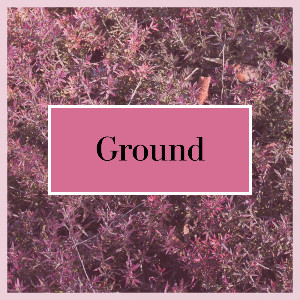 Ground
