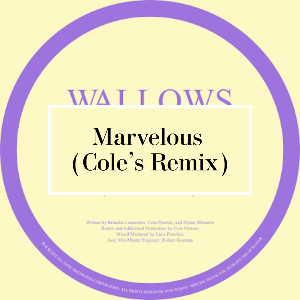 Marvelous (Cole's Remix)
