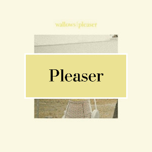Pleaser