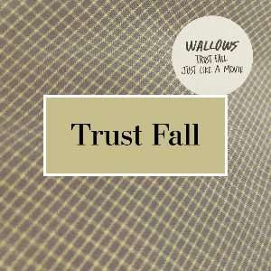 Trust Fall